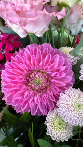 Frühlingsblumen