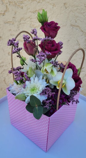 Tulpen